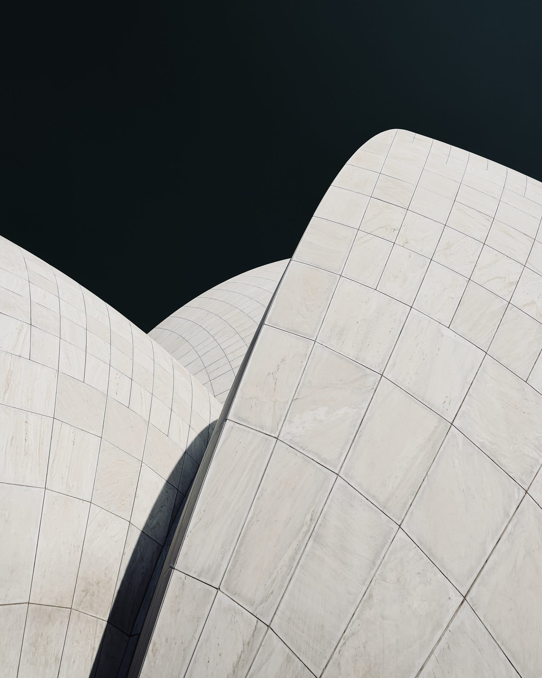 Selected frame documented by Geomorph Studio