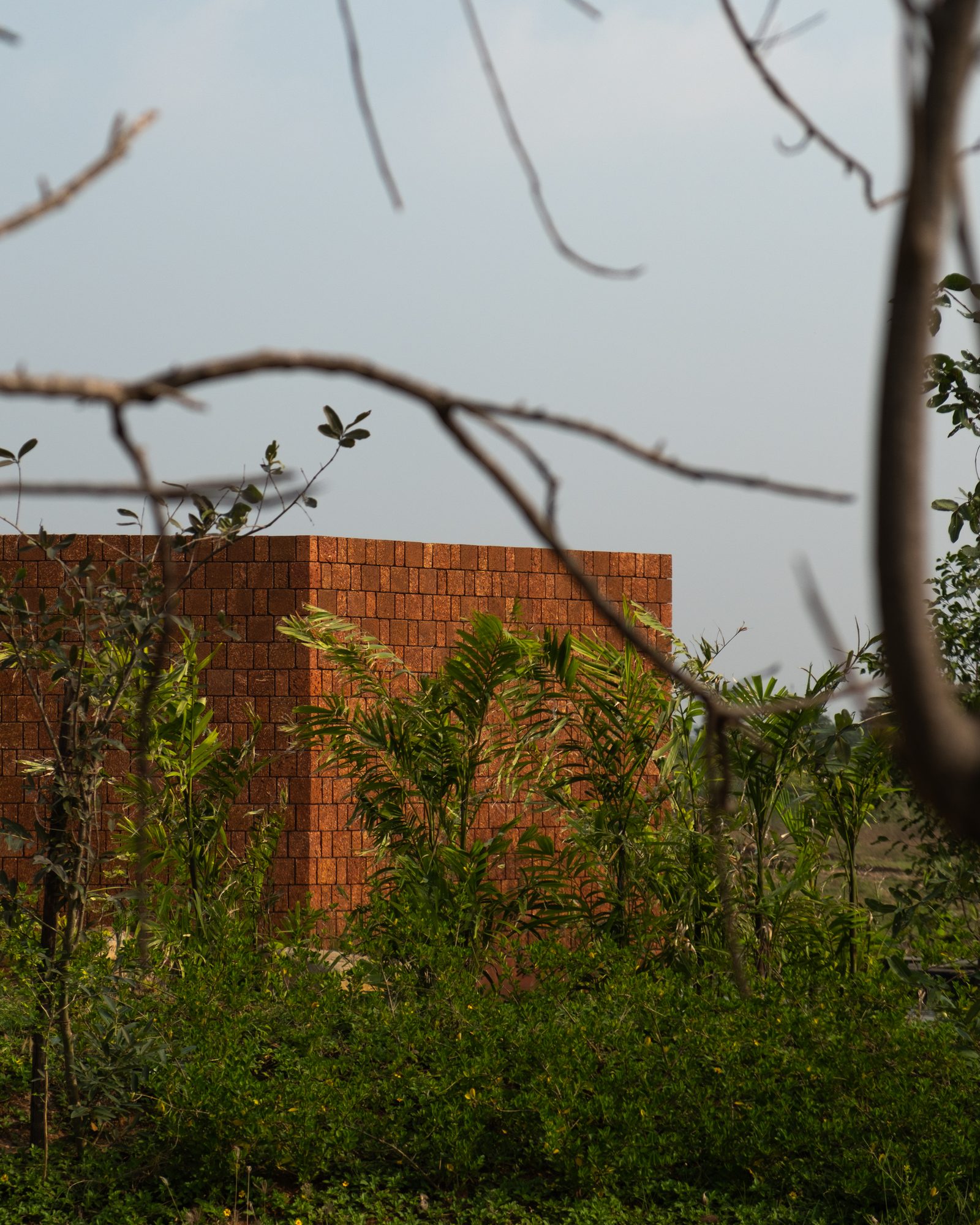 Four Walls Pavilion photographed by Geomorph Studio 19
